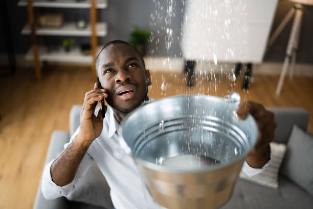 Best Flooded house restoration  in Cocoa West, FL