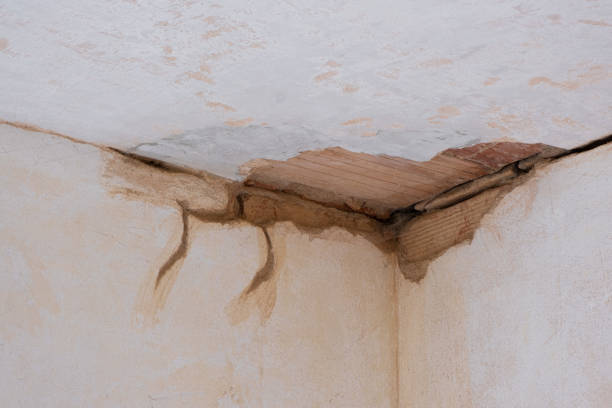 Best Flooded house restoration  in Cocoa West, FL