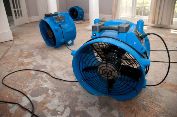 Water damage restoration experts in FL