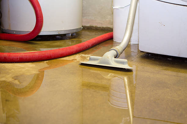 Best Basement water damage restoration  in Cocoa West, FL