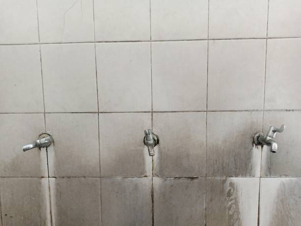 Best Emergency water damage restoration  in Cocoa West, FL