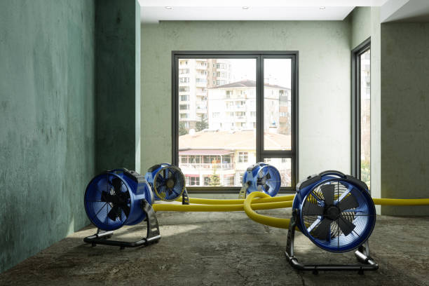 Best Local water damage restoration  in Cocoa West, FL